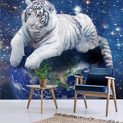 Обои Artmegahome Космос