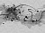 Фотообои Wall Street Calligraffiti