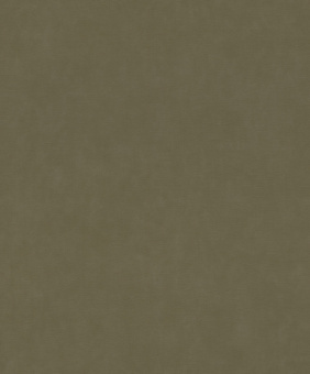 Обои Rasch Paraiso