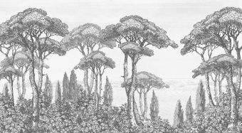 Фотообои Wall Street ESTAMPE