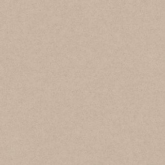 Обои Rasch Estetica