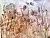 Фотообои Wall Street Aquarelle