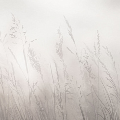 Фрески/Панно ORTOGRAF Vento