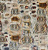 Обои Casamance Caractere