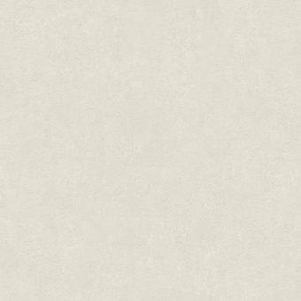 Обои Rasch Akzent