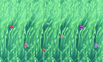 Фотообои Co.De CODE 01