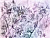 Фотообои Wall Street Aquarelle