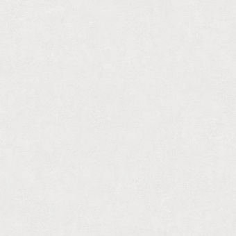 Обои Rasch Akzent