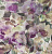 Обои Designers Guild Zardozi