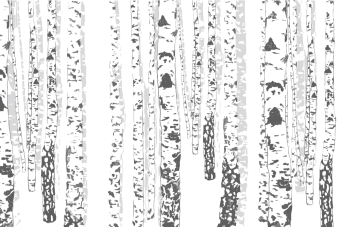 Фотообои Respace Природа