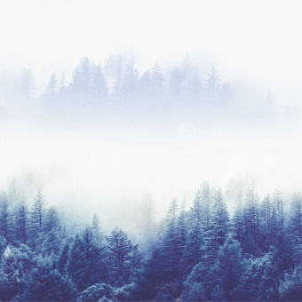 Фотообои Мне обои