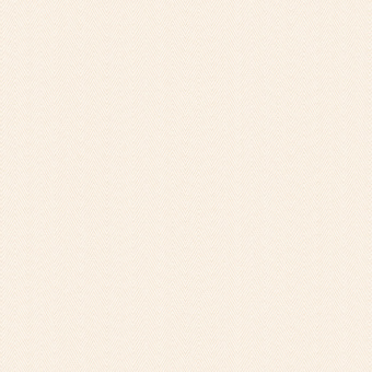 Обои Alessandro Allori Bruni