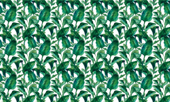 Фотообои Respace Цветы  Тропик Козерога