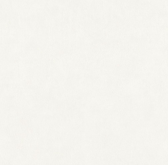 Обои Alessandro Allori Argiano