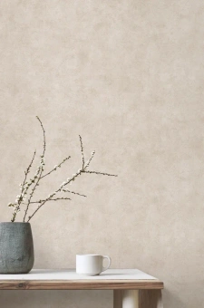 Обои Alessandro Allori Argiano