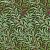 Обои Morris & Co Queen Square Wallpapers
