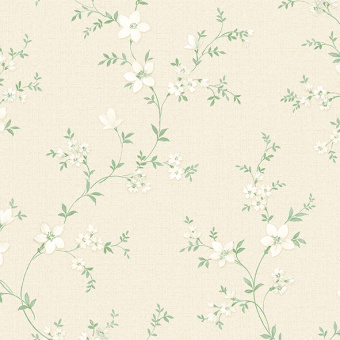 Обои Alessandro Allori Bruni