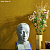 Обои Casamance Select 5