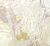 Обои Print 4 Natura