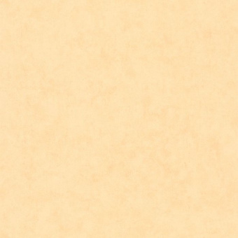 Обои Caselio Beton 2