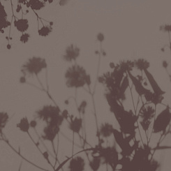 Фотообои Wall Street VETVE 22