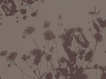 Фотообои Wall Street VETVE 22