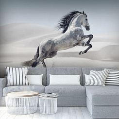 Обои Artmegahome Животные