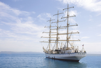 Фрески/Панно ORTOGRAF