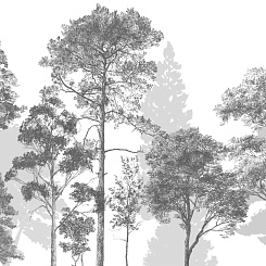 Фотообои Craft Design Lab Креатив