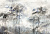 Фотообои My Fresco Природа