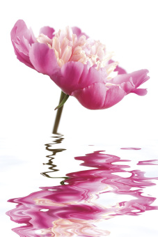 Фрески/Панно ORTOGRAF