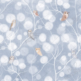 Фотообои My Fresco Детские