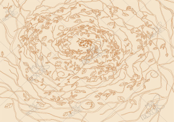 Фотообои My Fresco Line-Art