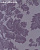 Обои Arlin Elegance