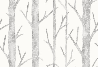 Обои JV LICENZE Scalamandre