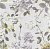 Обои Designers Guild Jardin Des Plantes