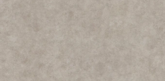 Обои Alessandro Allori Argiano