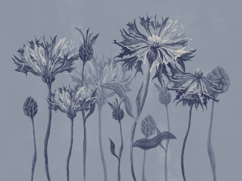 Фотообои Wall Street SUMMERTIME