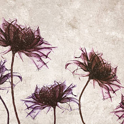  Обои Skinwall Contemporary Collection