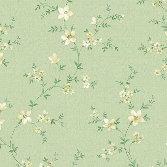 Обои Alessandro Allori Bruni