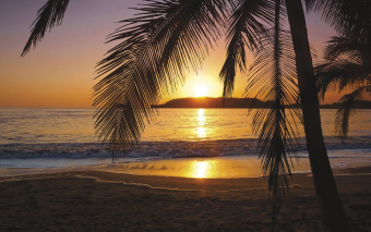 Фрески/Панно ORTOGRAF