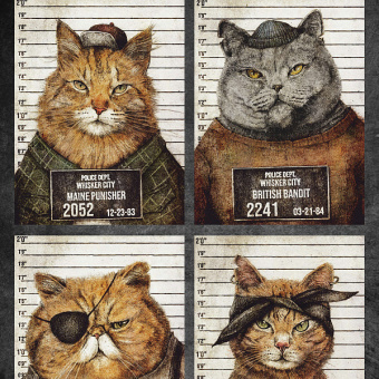 Фотообои Мне обои