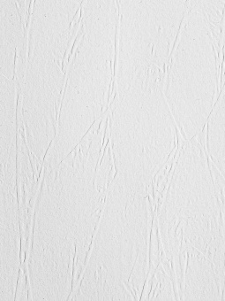 Обои NC Antivandal