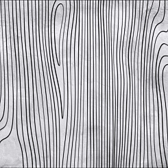 Фотообои Wall Street BERYOZI I VODOPADY