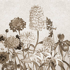  Обои Skinwall Suite Collection