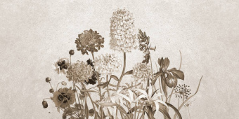  Обои Skinwall Suite Collection