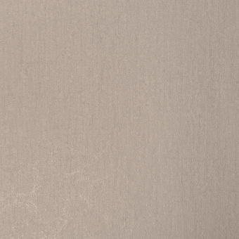 Обои Alessandro Allori Bodega