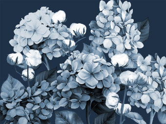 Фотообои Wall Street HERBARIUM