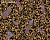Обои AS Creation Versace IV
