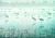 Фрески/Панно RFresco AQUA